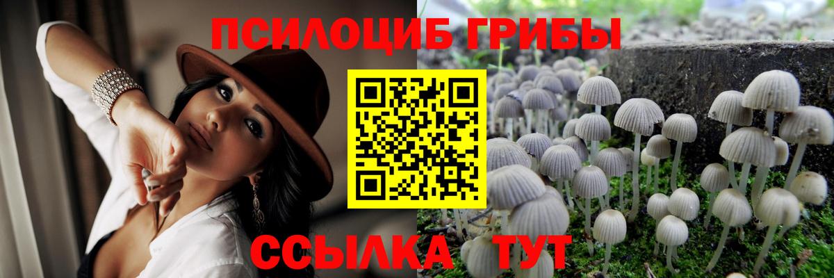 Россошь  Псилоцибиновые грибы GOLDEN TEACHER  Вход с VPN 